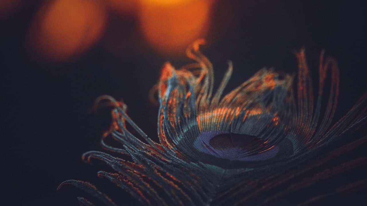 List of Nepali Gotras